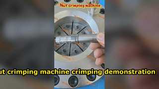 বাদাম crimping মেশিন crimping বিক্ষোভ